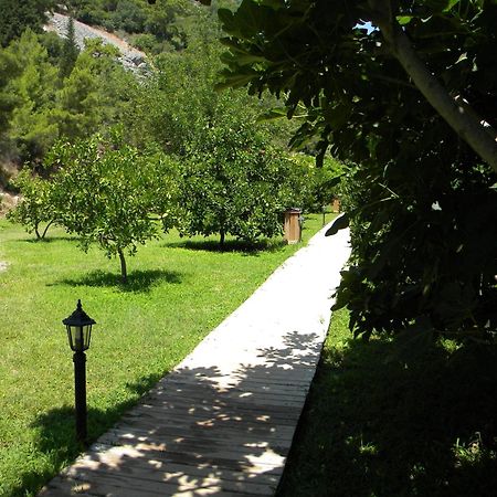 Azra Villas Чирали Номер фото