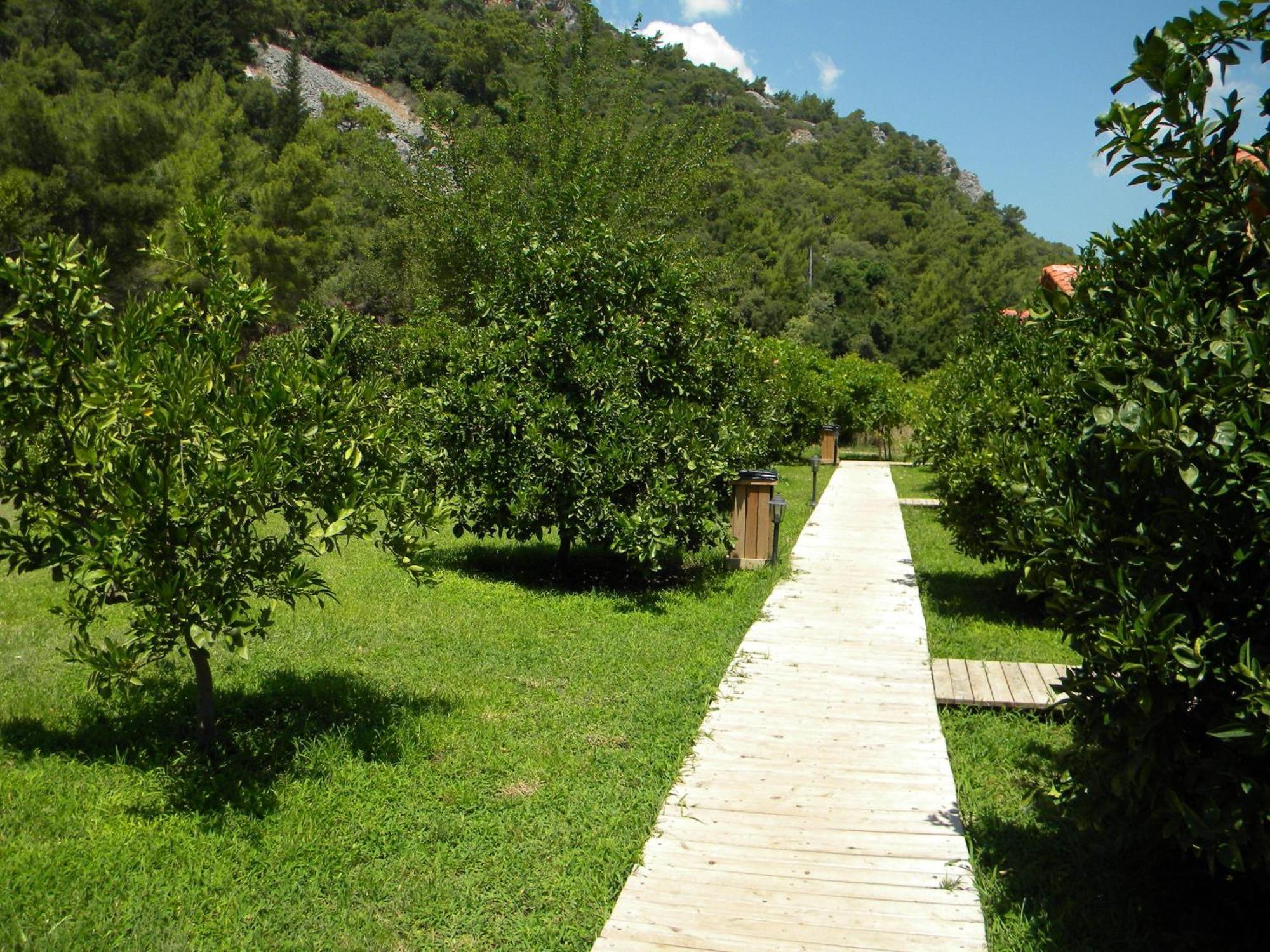 Azra Villas Чирали Номер фото